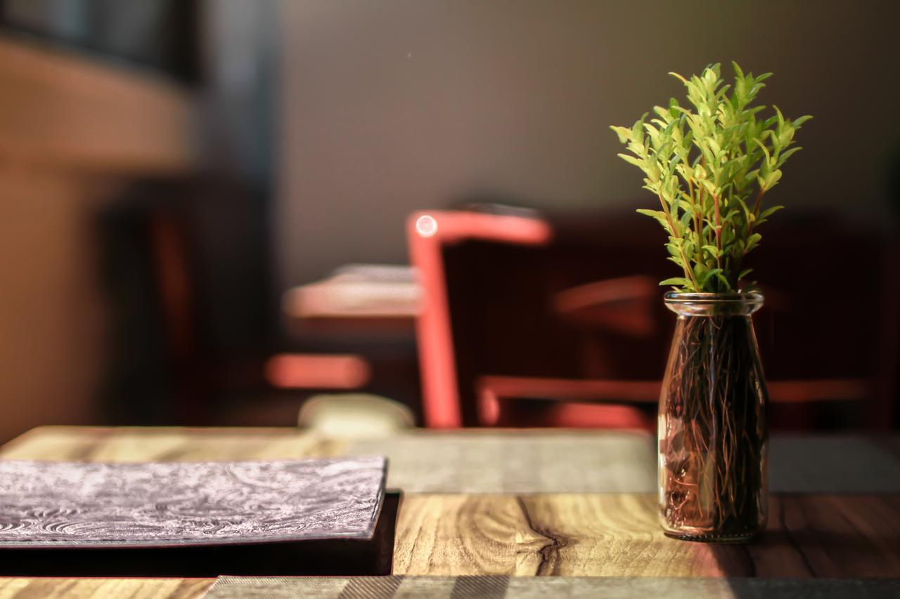 Hotel Oslo Meksyk Zewnętrze zdjęcie